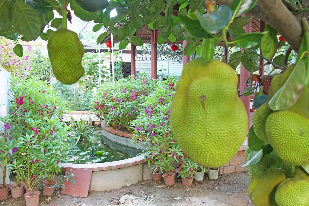Countryside Garden Homestay Hoi An