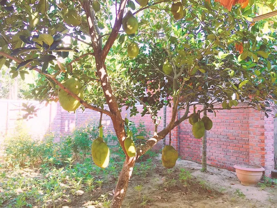 Countryside Garden Homestay Hoi An 0*,