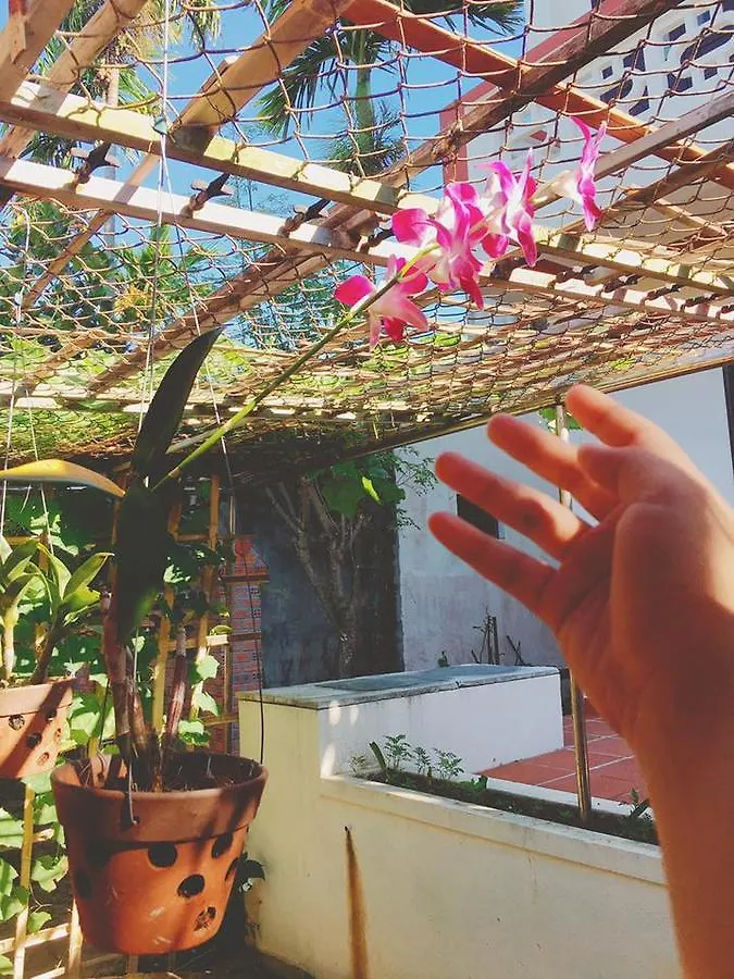 Countryside Garden Homestay Hoi An
