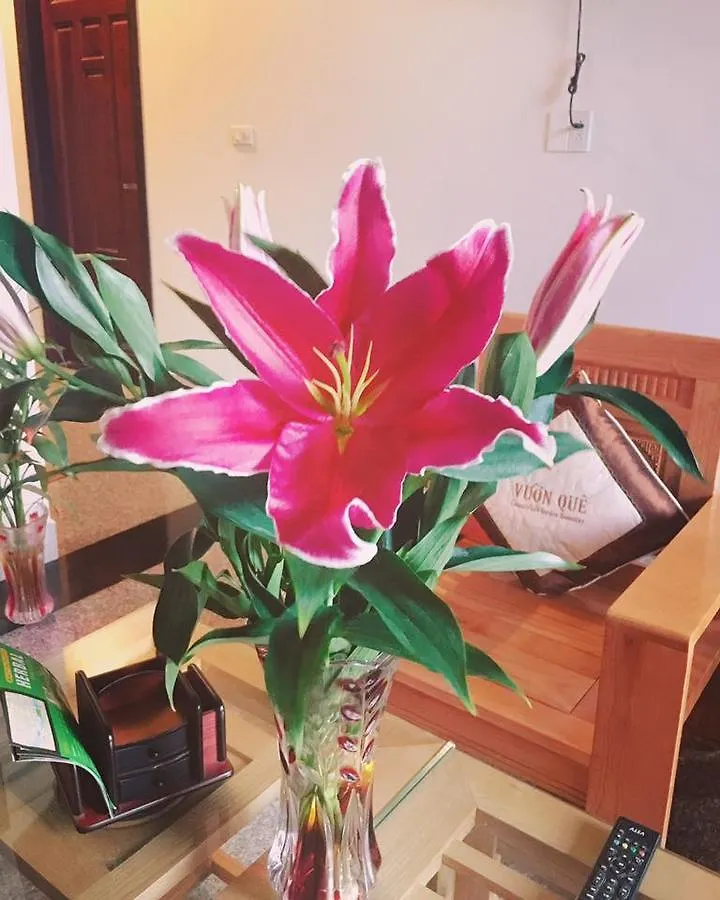 Countryside Garden Homestay Hoi An
