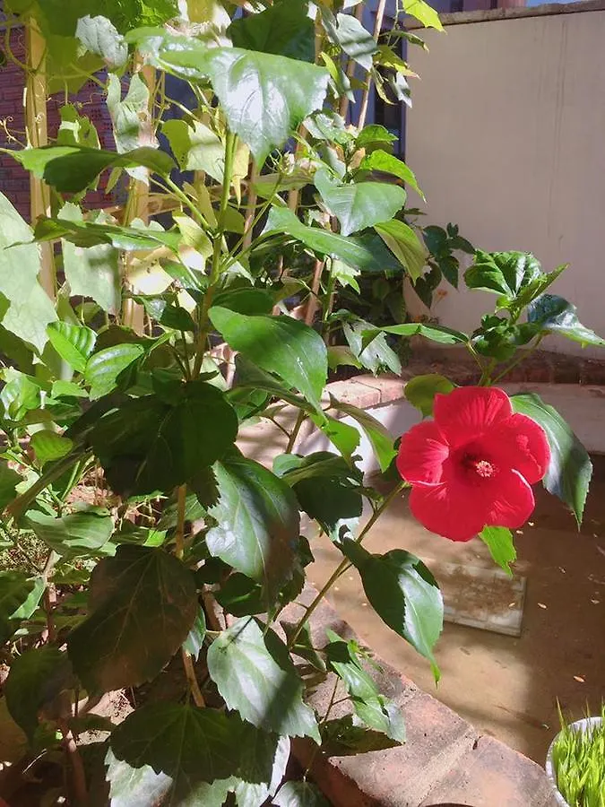 Countryside Garden Homestay Hoi An 0*,  Vietnam